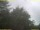 Webcam in Nettetal, 52.4 km