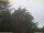 Webcam in Nettetal, 44.8 km