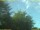 Webcam in Nettetal, 20.1 mi away