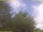 Webcam in Nettetal, 8.2 mi away