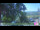 Webcam in Roncofreddo, 46.4 km