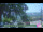 Webcam in Roncofreddo, 4.9 mi away
