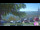 Webcam in Roncofreddo, 16.5 mi away