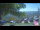 Webcam in Roncofreddo, 37.5 km