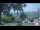 Webcam in Roncofreddo, 8.5 km