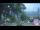 Webcam in Roncofreddo, 12.7 km