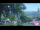 Webcam in Roncofreddo, 6.1 mi away