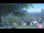 Webcam in Roncofreddo, 3.3 mi away