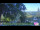 Webcam in Roncofreddo, 53.8 km