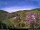 Webcam in Diedenshausen (Bad Berleburg), 29.9 km