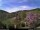 Webcam in Diedenshausen (Bad Berleburg), 20.8 km