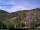 Webcam in Diedenshausen (Bad Berleburg), 8.5 km