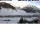 Webcam in Livigno, 0.6 km