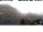 Webcam in Livigno, 0.5 mi away