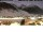 Webcam in Livigno, 1.3 km
