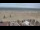 Webcam in Oostduinkerke, 61.6 km