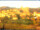 Webcam in Longiano, 4.8 km