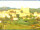 Webcam in Longiano, 20 km entfernt