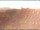 Webcam in Longiano, 49.6 km entfernt