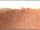 Webcam in Longiano, 1.9 mi away