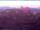 Webcam in Longiano, 3 mi away
