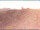Webcam in Longiano, 49.6 km