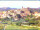 Webcam in Longiano, 49.6 km entfernt