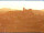 Webcam in Longiano, 45.2 km