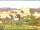 Webcam in Longiano, 57.4 km
