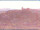 Webcam in Longiano, 10.3 km