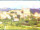 Webcam in Longiano, 20 km