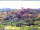 Webcam in Longiano, 10.8 km