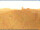 Webcam in Longiano, 10.8 km