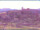 Webcam in Longiano, 49.6 km