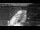 Webcam in Fiumicino, 35.1 km