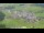 Webcam in Abtenau, 0 km