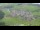 Webcam in Abtenau, 0 km