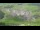 Webcam in Abtenau, 0.3 mi away