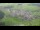 Webcam in Abtenau, 0 km