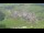 Webcam in Abtenau, 0 km