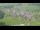 Webcam in Abtenau, 0.9 km