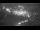 Webcam in Abtenau, 3 mi away