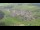 Webcam in Abtenau, 8.8 km