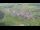 Webcam in Abtenau, 8.8 km