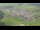 Webcam in Abtenau, 1.1 km