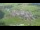 Webcam in Abtenau, 0.9 mi away