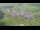 Webcam in Abtenau, 3.4 mi away