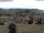 Webcam in Schopfheim, 20.4 km