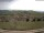 Webcam in Schopfheim, 15 km entfernt