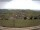 Webcam in Schopfheim, 20.2 km entfernt